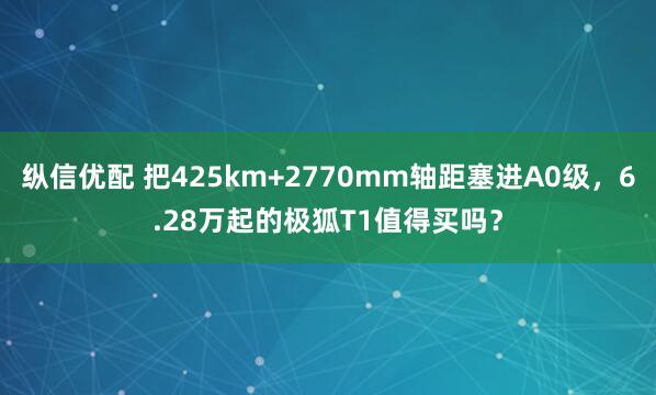 纵信优配 把425km+2770mm轴距塞进A0级，6.28万起的极狐T1值得买吗？