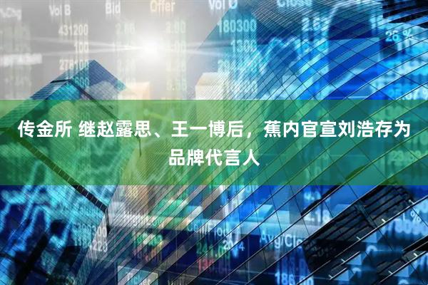 传金所 继赵露思、王一博后，蕉内官宣刘浩存为品牌代言人