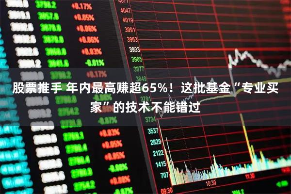 股票推手 年内最高赚超65%！这批基金“专业买家”的技术不能错过