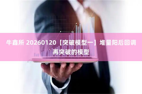 牛鑫所 20260120【突破模型一】堆量阳后回调再突破的模型
