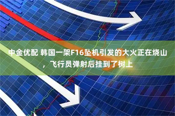 中金优配 韩国一架F16坠机引发的大火正在烧山，飞行员弹射后挂到了树上